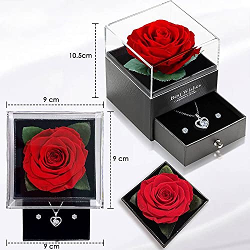 Ewige Echte Rose mit Herz Halskette und Ohrringe aus 925 Sterlingsilber, Infinity Rosen, Schmuck Geschenkbox, Rosenbox Geburtstag, Valentinstag, Hochzeitstag Geschenke für Sie Freundin Frauen